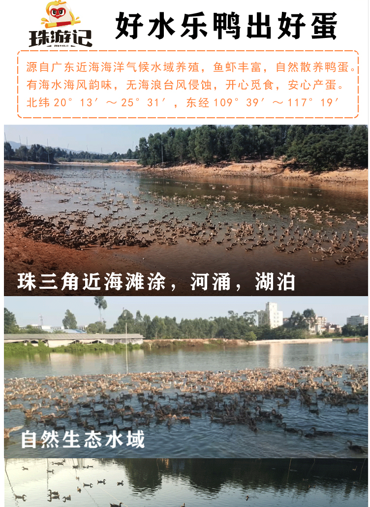 珠游記海鴨蛋(圖7)