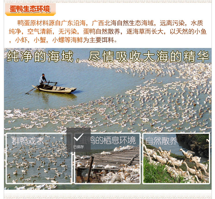 烤海鴨蛋禮盒裝批發(fā)，招商加盟！(圖6)