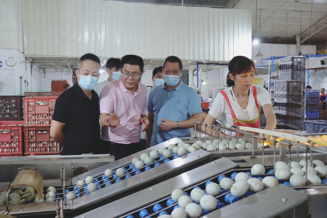 回味源咸蛋黃：中秋咸蛋黃要大批量補貨，去哪找有實力的供應(yīng)商？(圖2)