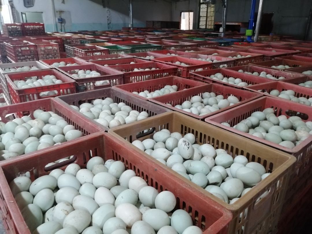 回味源高端定制咸蛋黃：月餅蛋黃常見的問題匯總（建議收藏）(圖3)