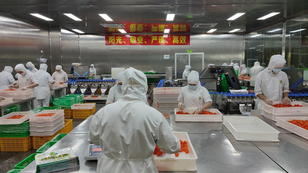 回味源高端定制咸蛋黃：2025，回味源專(zhuān)注咸蛋黃行業(yè)的第29年(圖17)
