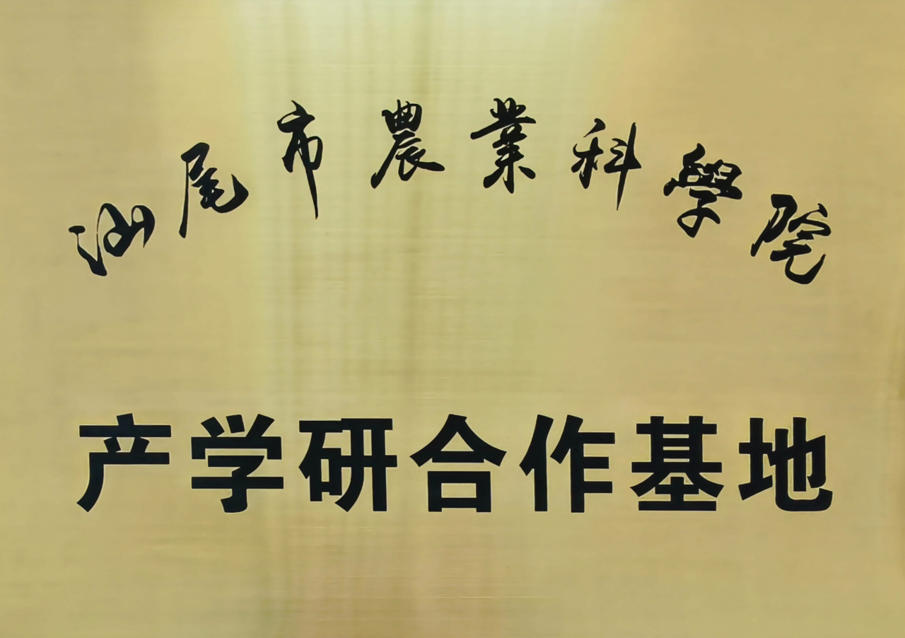 回味源高端定制咸蛋黃：2025，回味源專(zhuān)注咸蛋黃行業(yè)的第29年(圖13)