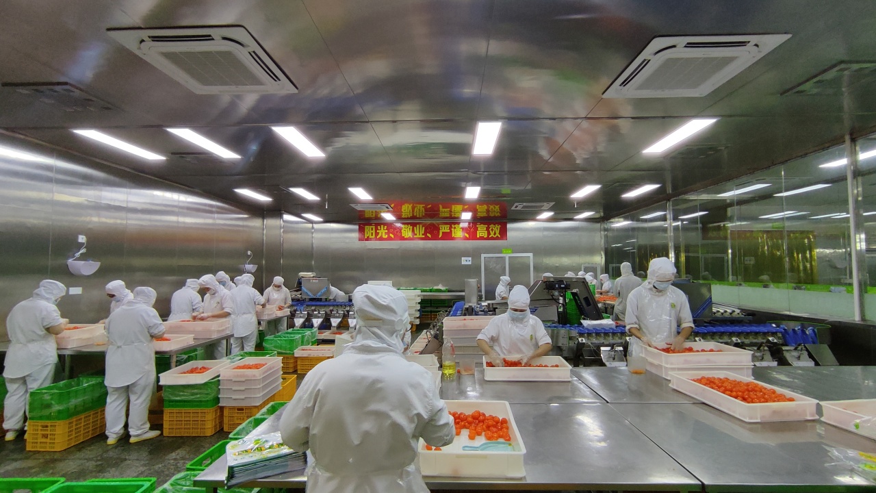 廣州回味源蛋類食品有限公司：30年咸蛋黃專精高新技術(shù)企業(yè)(圖2)