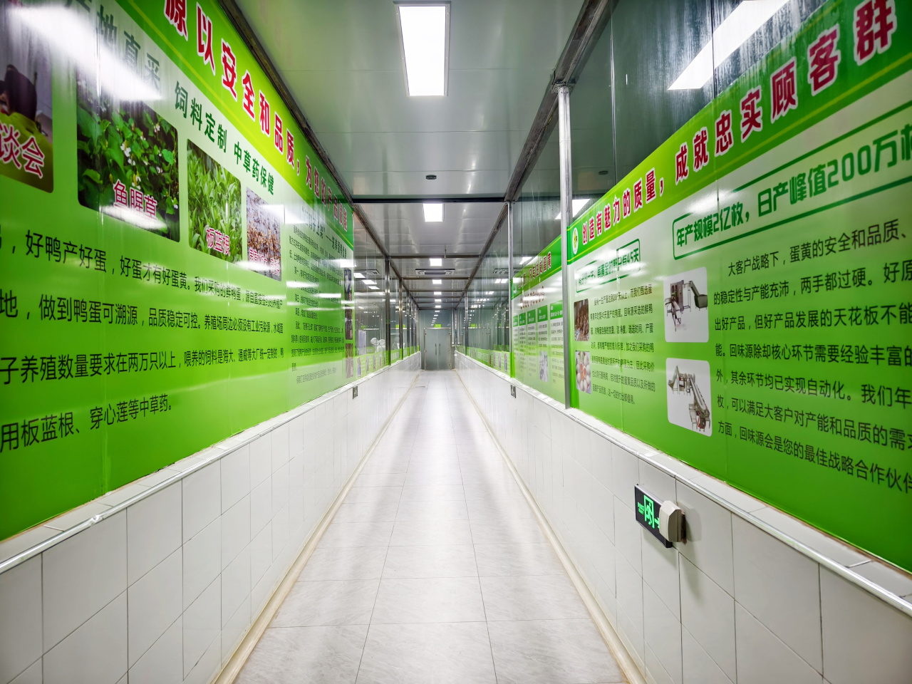 廣州回味源蛋類食品有限公司：30年咸蛋黃專精高新技術(shù)企業(yè)(圖16)