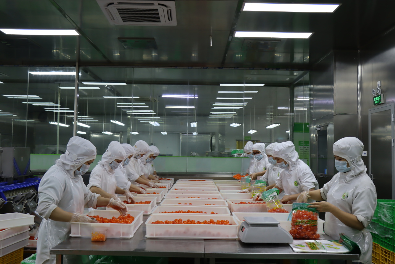 廣州回味源蛋類食品有限公司：30年咸蛋黃專精高新技術(shù)企業(yè)(圖13)